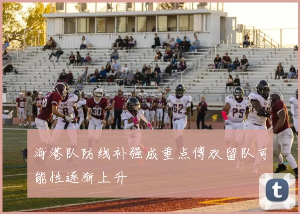 海港队防线补强成重点傅欢留队可能性逐渐上升